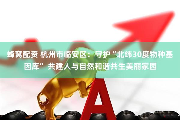 蜂窝配资 杭州市临安区：守护“北纬30度物种基因库” 共建人与自然和谐共生美丽家园