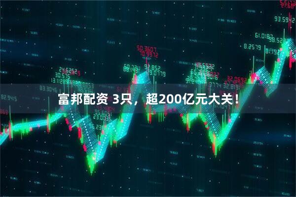 富邦配资 3只，超200亿元大关！