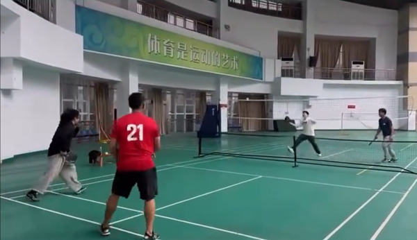 期配宝 樊振东打的，到底是个什么球？