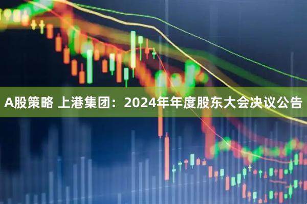 A股策略 上港集团：2024年年度股东大会决议公告