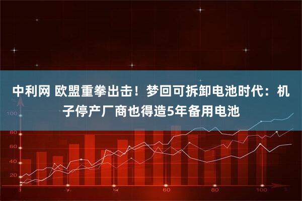 中利网 欧盟重拳出击！梦回可拆卸电池时代：机子停产厂商也得造5年备用电池